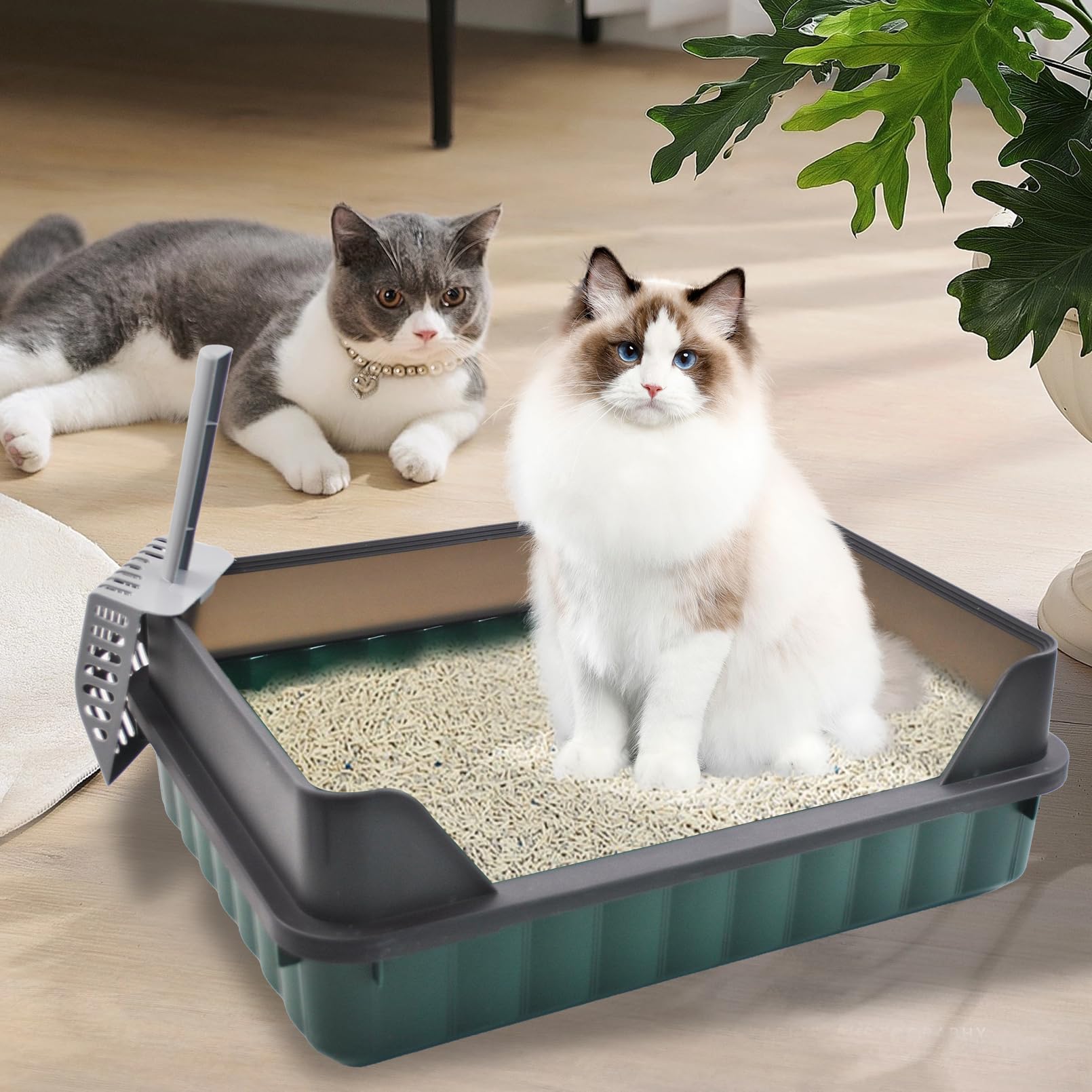 MUYG cat litter box dimensions 19.7 x 14.2 x 6.7 inches in green