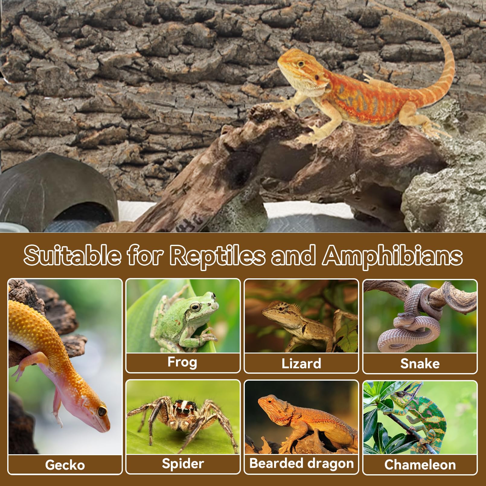 MUYG corcho terrario – ambiente natural que facilita aclimación de reptiles.