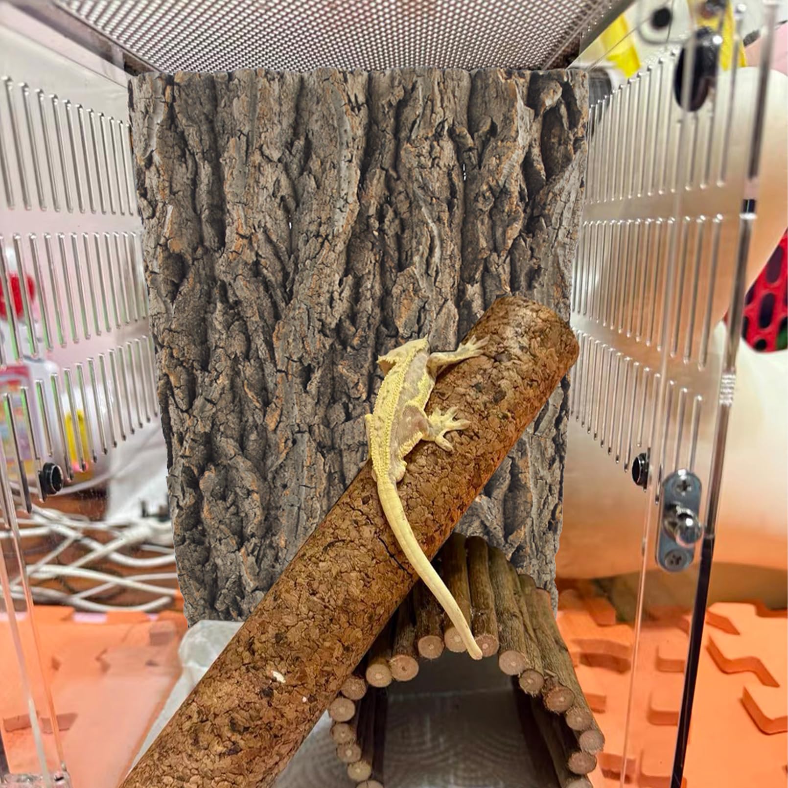 MUYG corcho terrario – escena forestal para reptiles activos y cómodos.