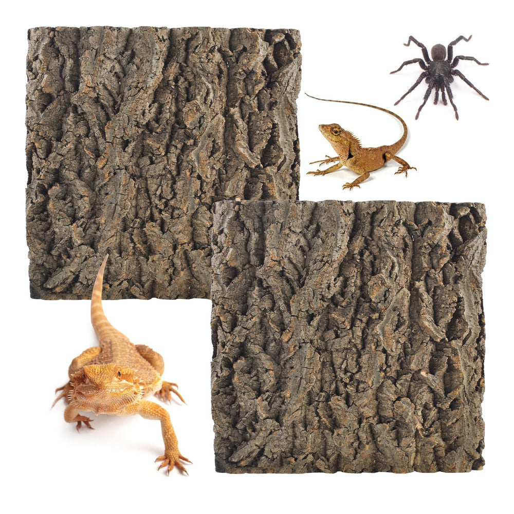 MUYG corcho terrario – pared natural 30x30 cm para hábitats seguros.