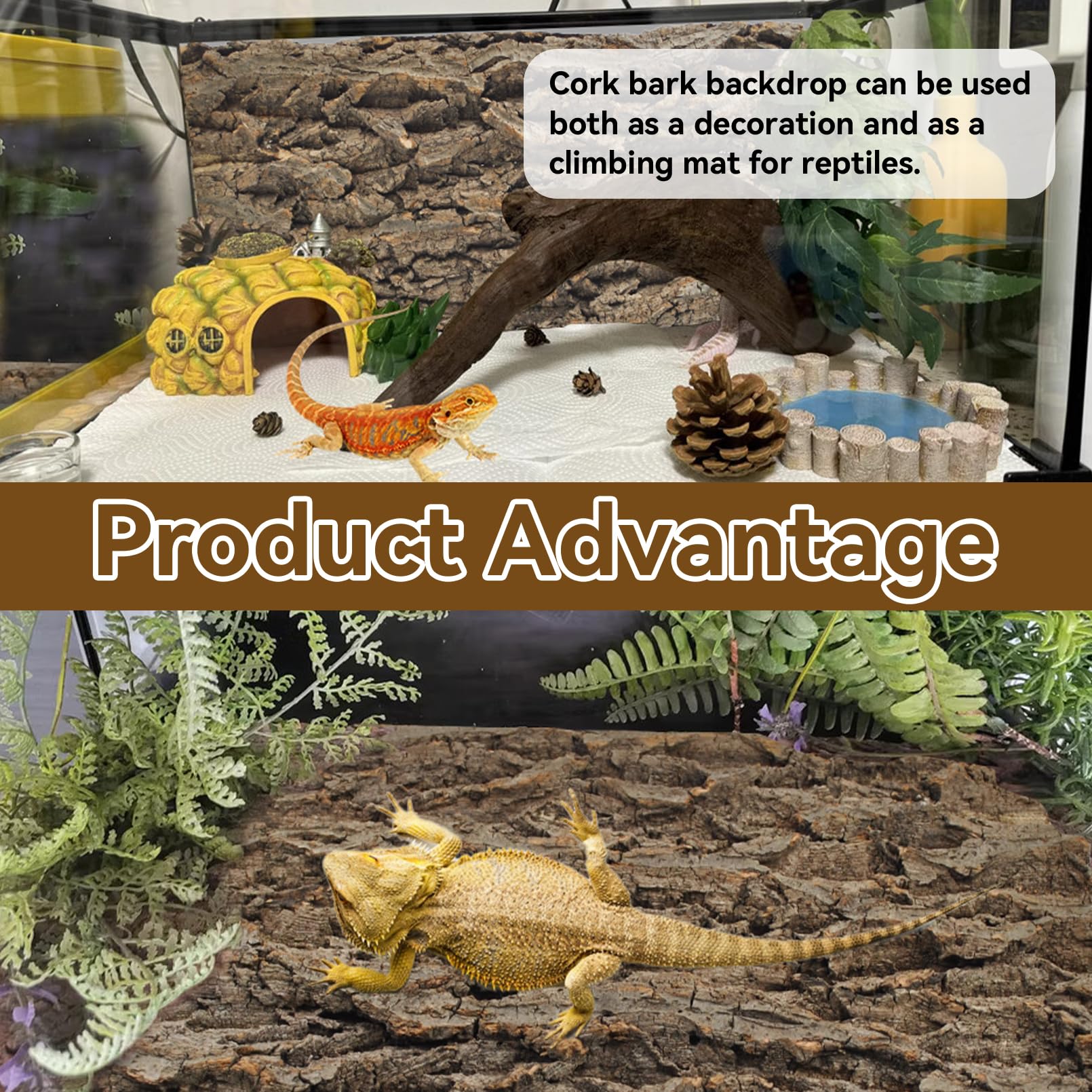 MUYG corcho terrario – superficie de trepa ideal para geckos.