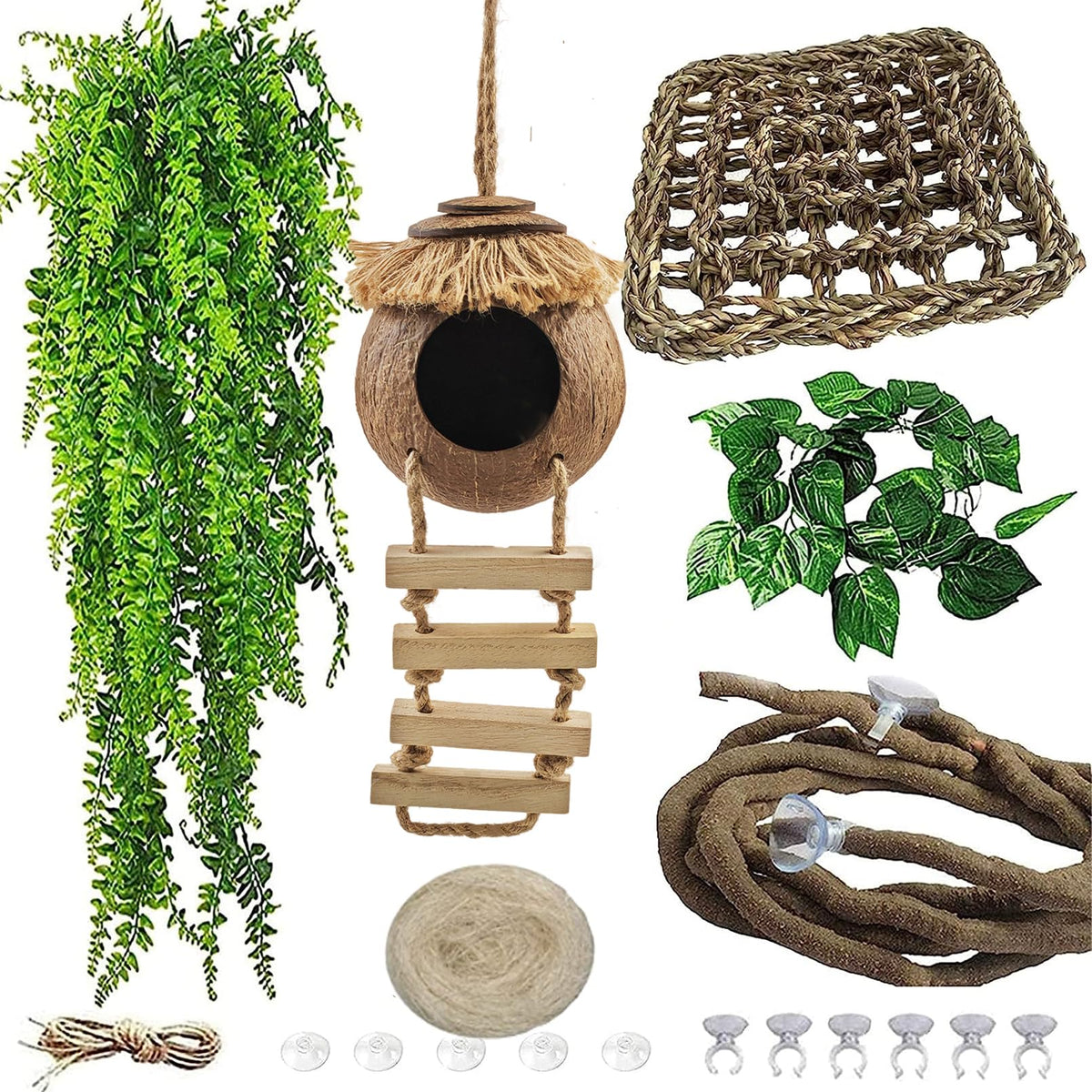 MUYG gecko coconut hideout hut for secure retreat and climbing