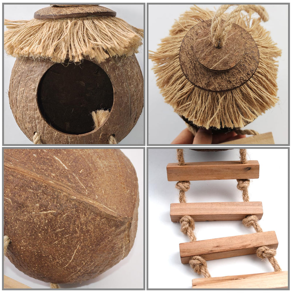 MUYG gecko coconut silk mat around the hideout for soft contact