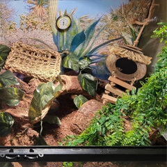 MUYG gecko reptile vine decoration adds natural hiding and climbing