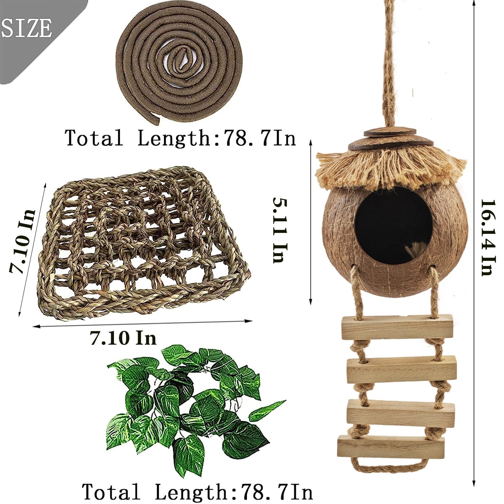 MUYG gecko wooden ladder for vertical enrichment in terrarium
