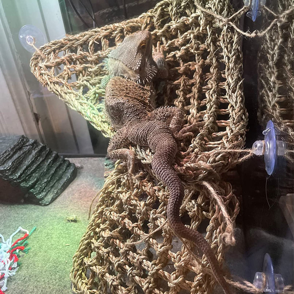 MUYG Glass Tank Decor adds natural-looking habitat accents for reptiles