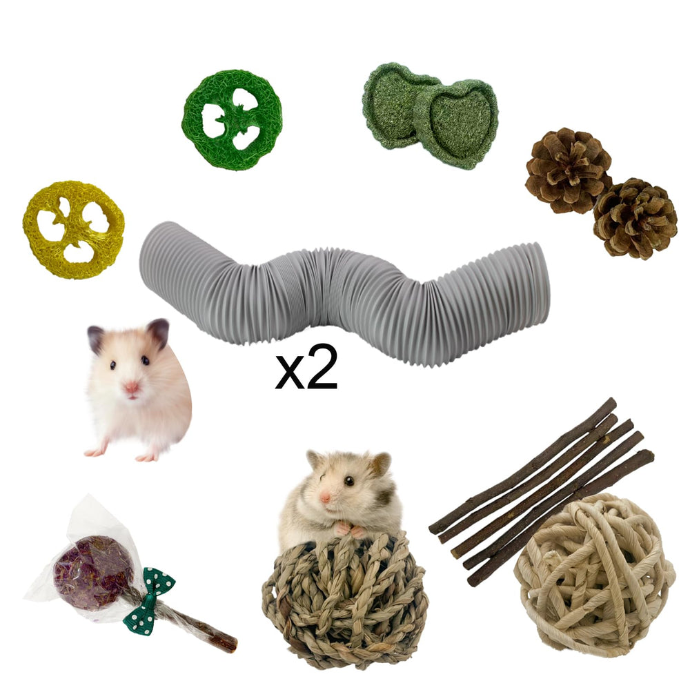 muyg hamster tunnels playtime scene highlighting multi-pet use