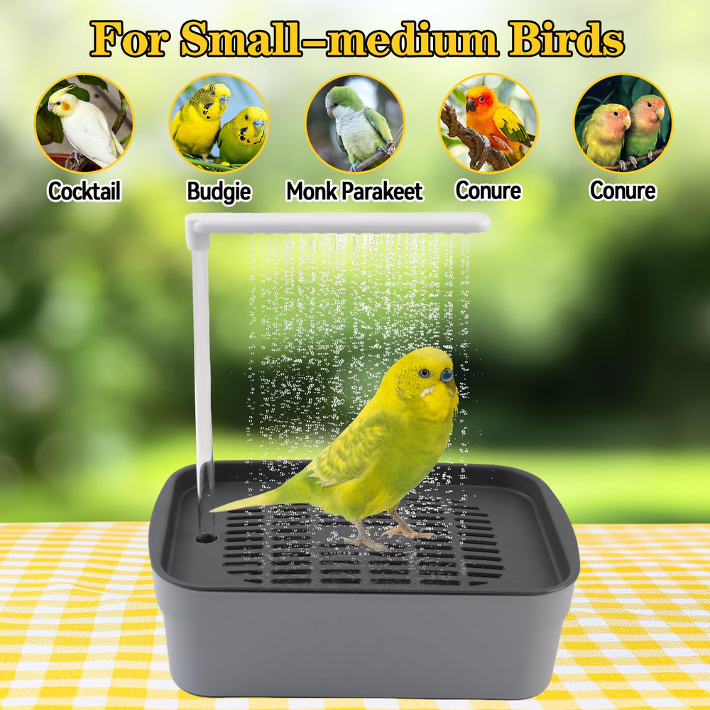 MUYG lovebird bathing activity in roomy bath space