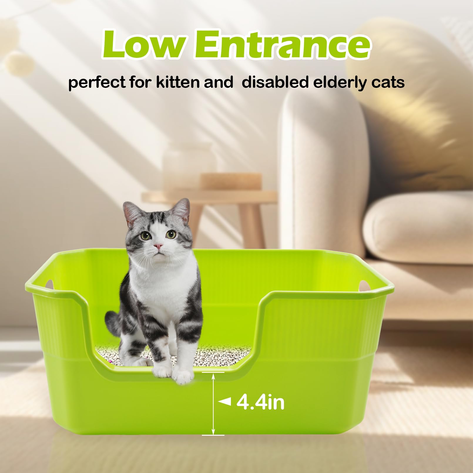 MUYG open cat box promotes airflow for a fresher litter area.