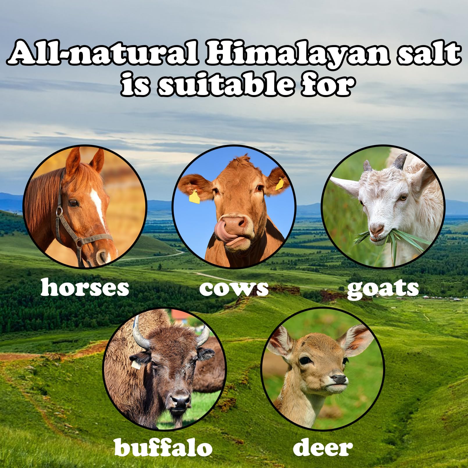 MUYG salt lick pack provides long-lasting mineral supply for horses, cattle, and deer.