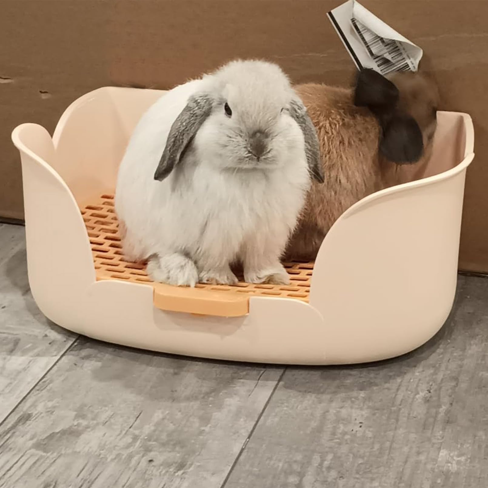 MUYG rabbit litter box inside cage demonstrating bottom grid