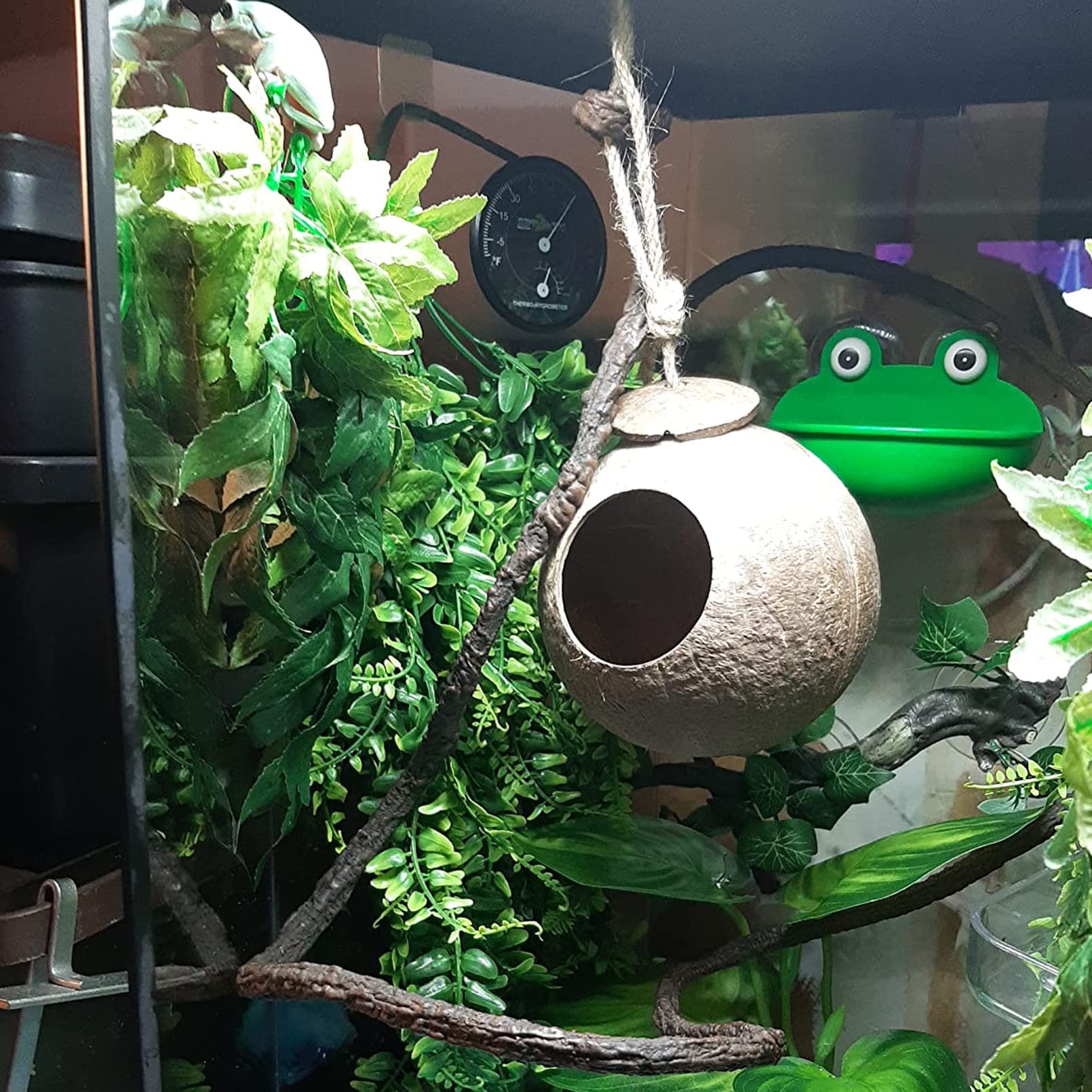 MUYG reptile leaf decor adds natural ambiance and enrichment.