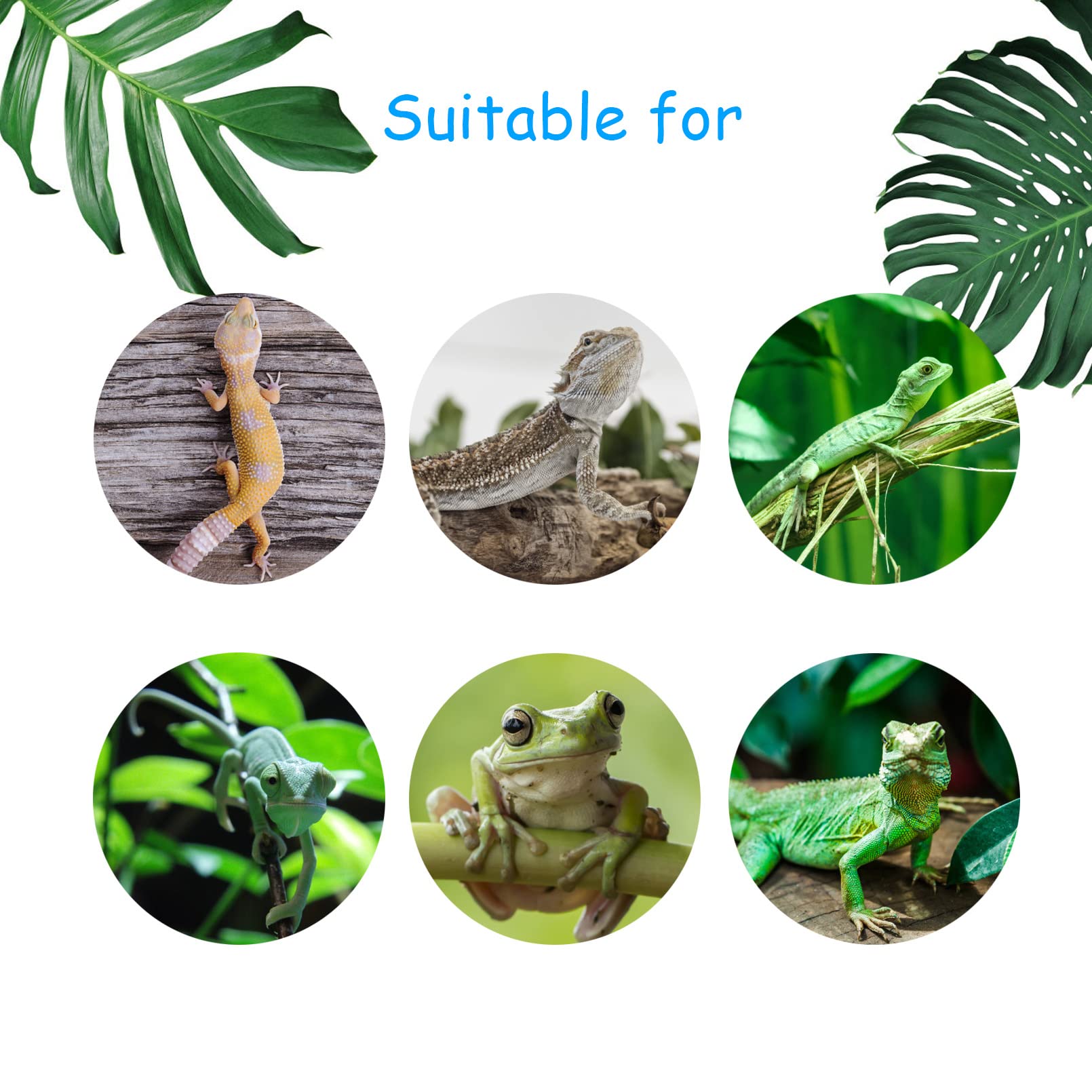 MUYG reptile nest filler adds soft, appealing interior for hides.