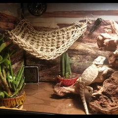 MUYG Reptile Vines Plants add natural aesthetics and climbing enrichment