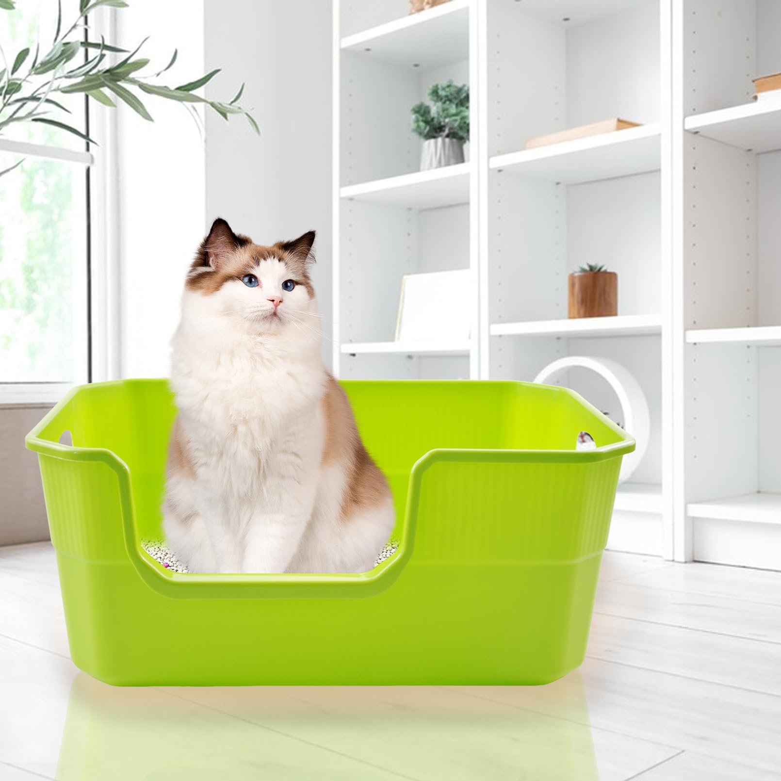 MUYG safe PP material with smooth edges protects paws.