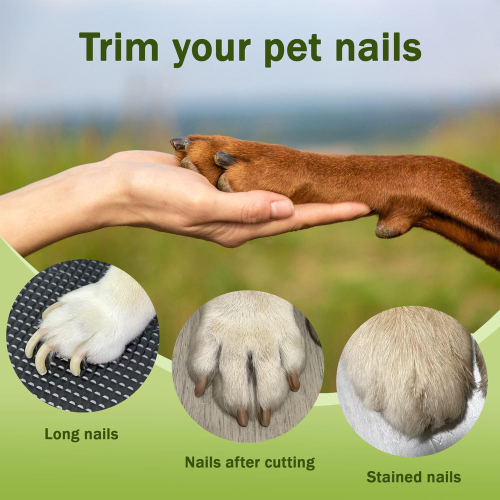 MUZMDNI all-in-one pet grooming kit for convenient nails