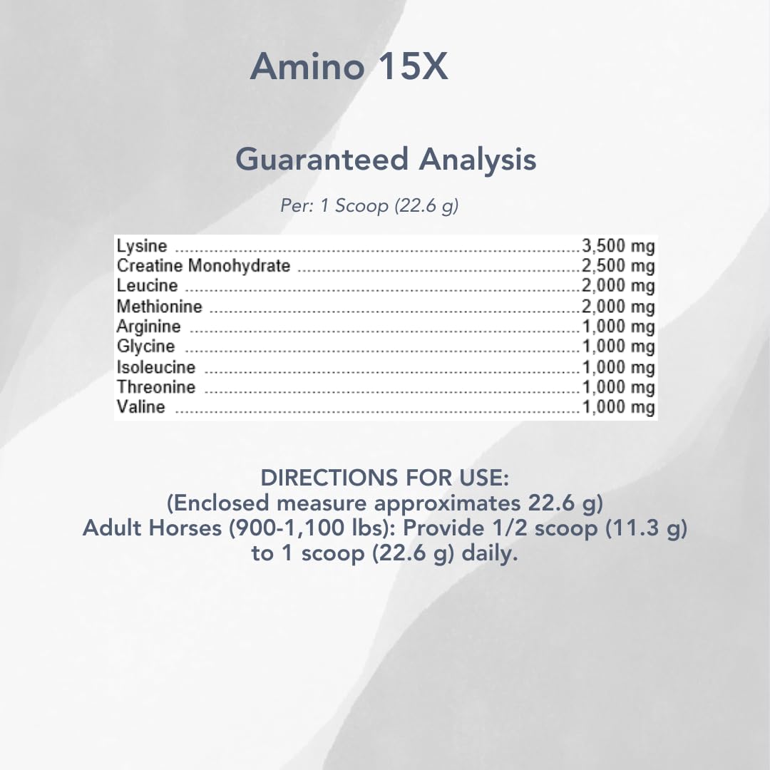 MVP Amino 15X horse feeding scene illustrating conditioning and topline support