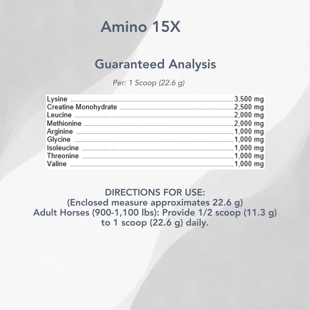 MVP Amino 15X horse feeding scene illustrating conditioning and topline support