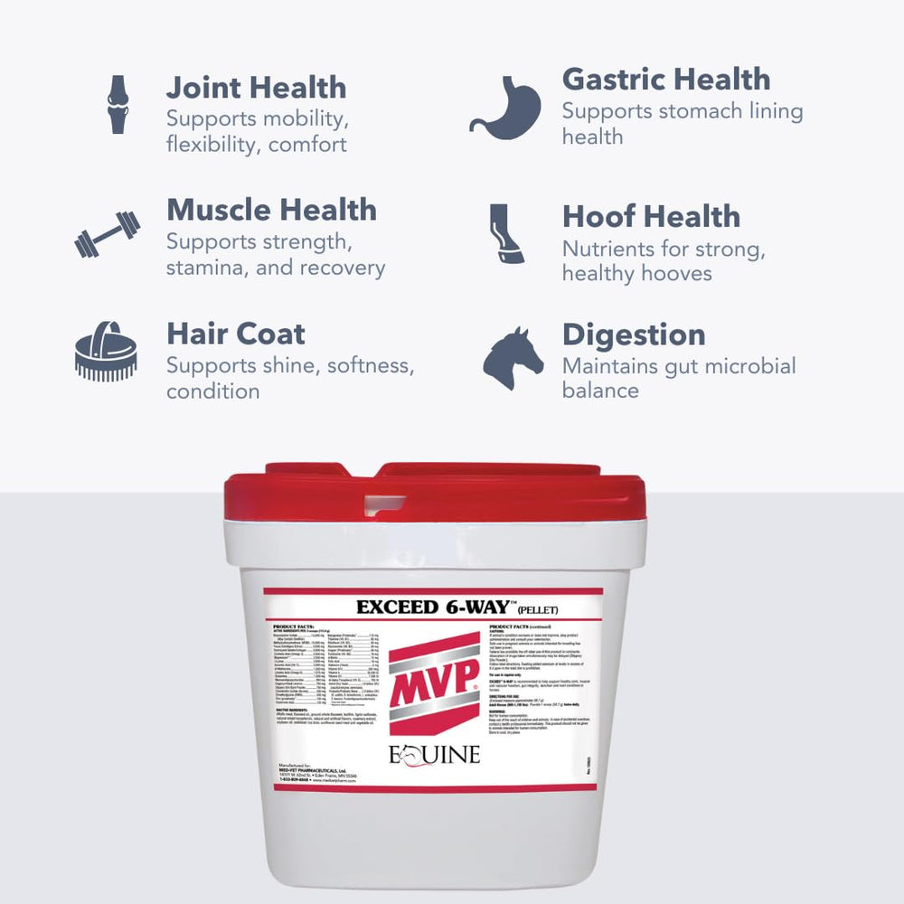 MVP Exceed 6-Way feeding setup with scoop illustrating daily routine.