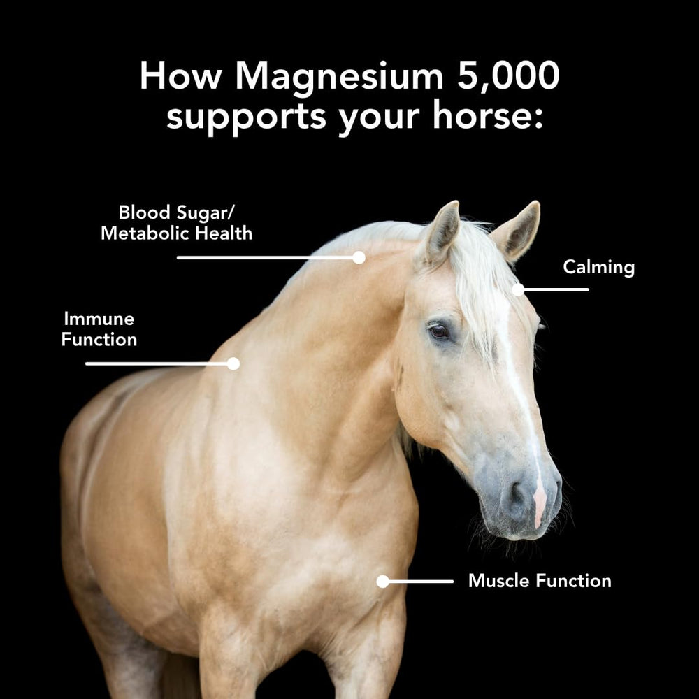 MVP Magnesium 5000 dosing scoop demonstrates precise pellet measurement.