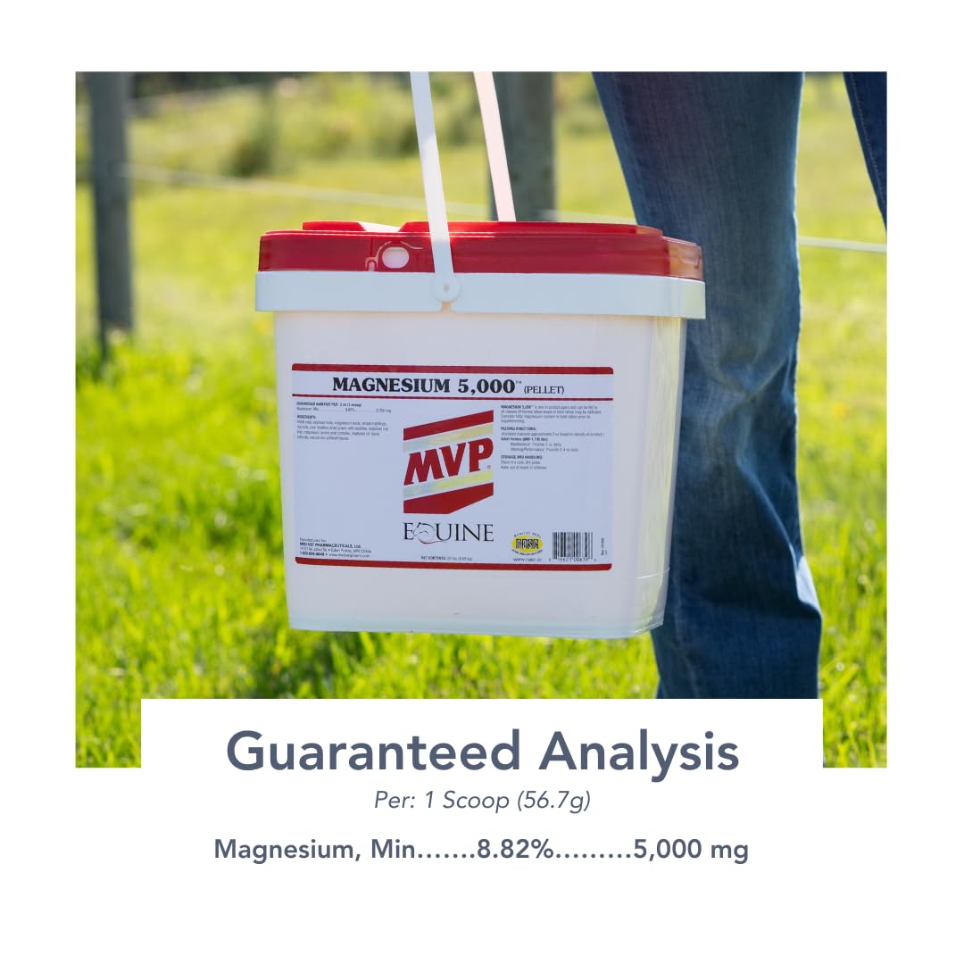 MVP Magnesium 5000 pellets fed to a horse during training for calmer routines.