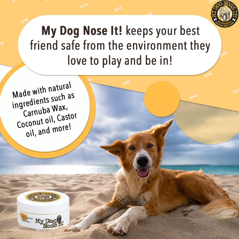 My Dog Nose It packaging and USA-made claim emphasizing quality and safety.