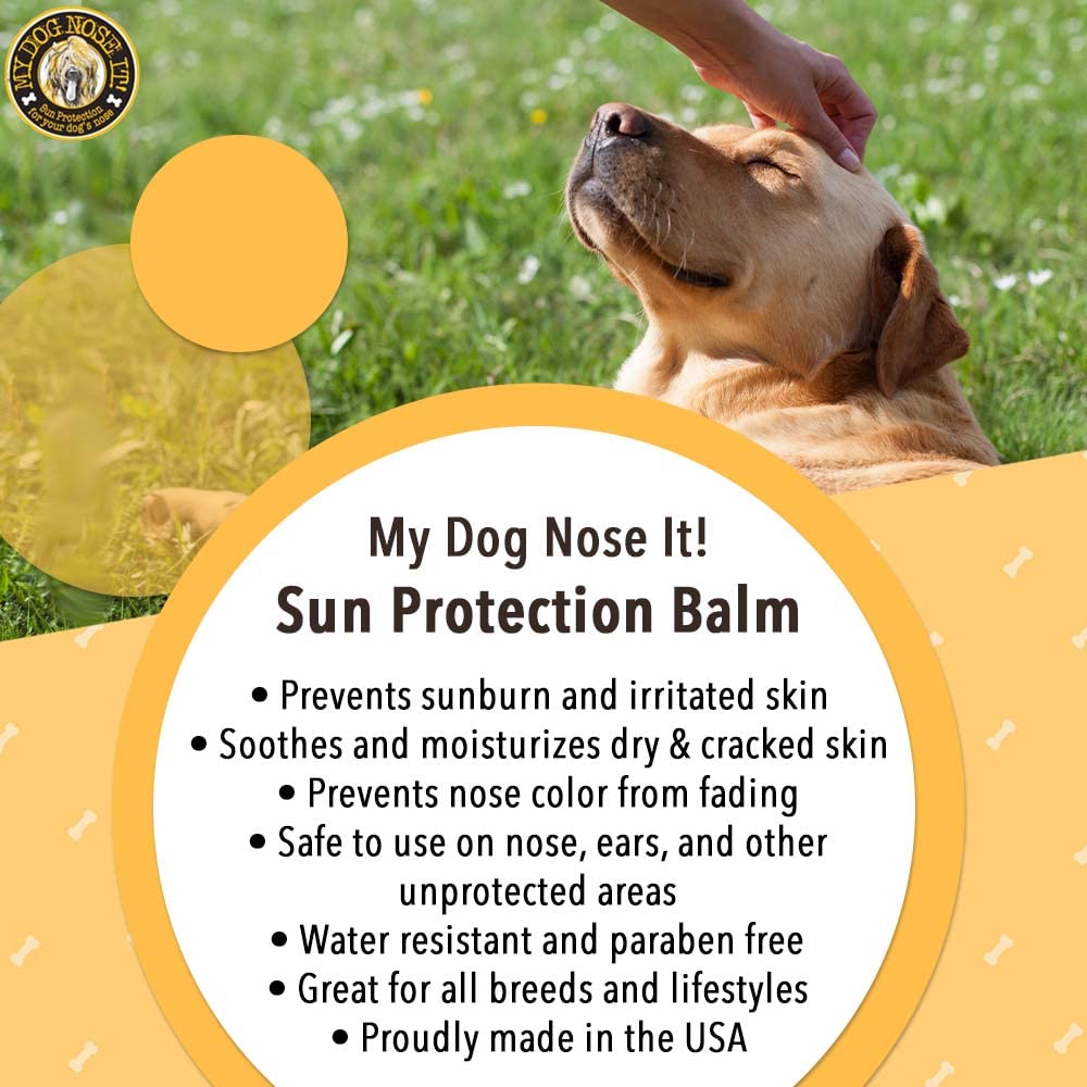 My Dog Nose It balm on a beach scene highlighting water-resistant protection at the shore.