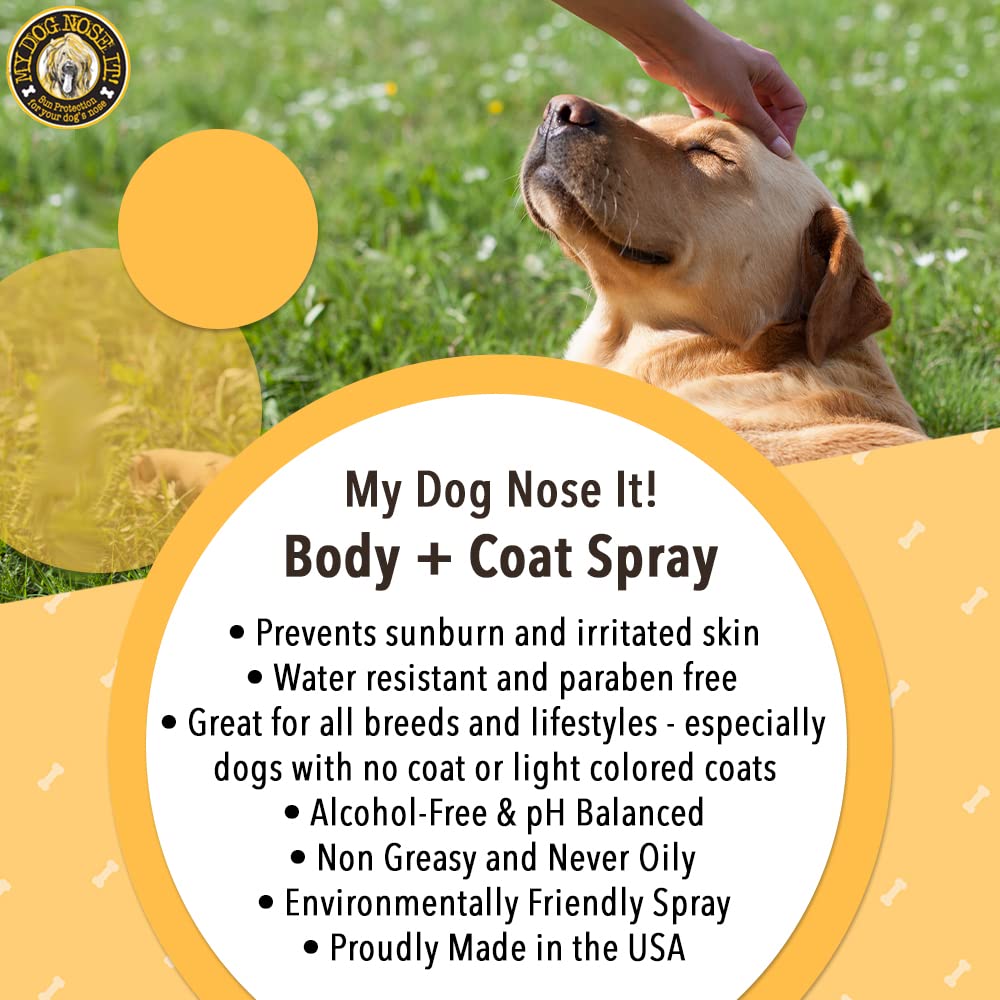 My Dog Nose It Coat and Body Spray at the beach during sun play.