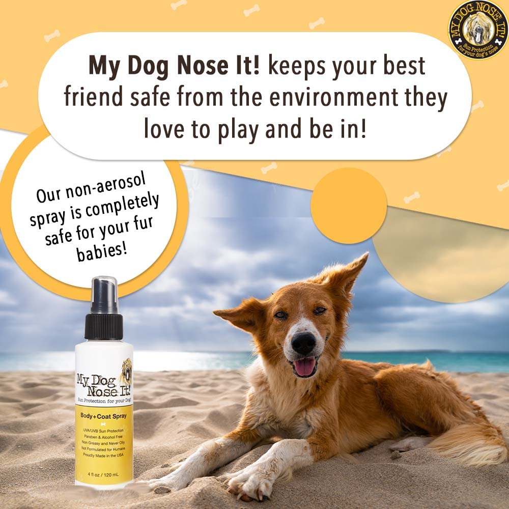 My Dog Nose It Coat and Body Spray protects nose and ears from sun exposure.