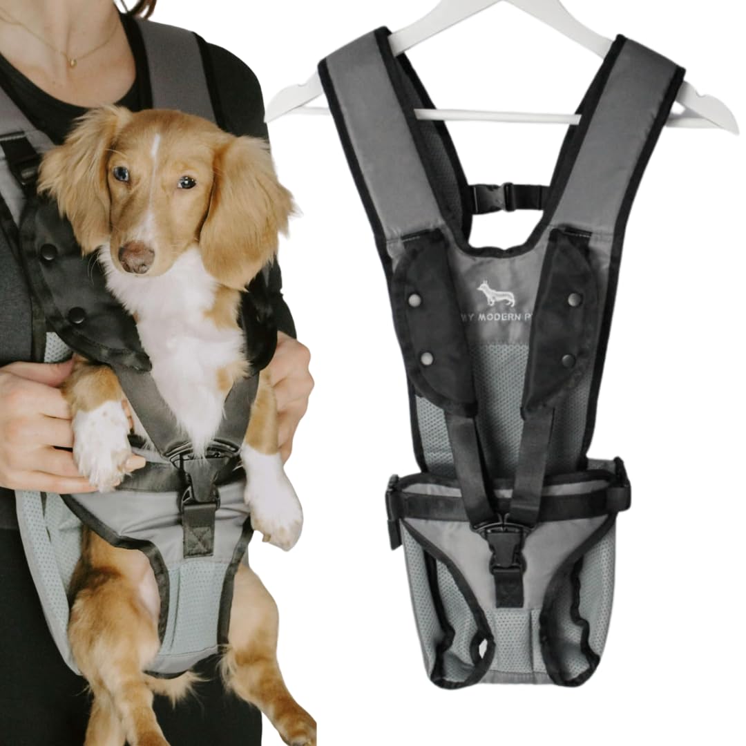 My Modern Pet dog carrier backpack front view shows secure fit for small dogs