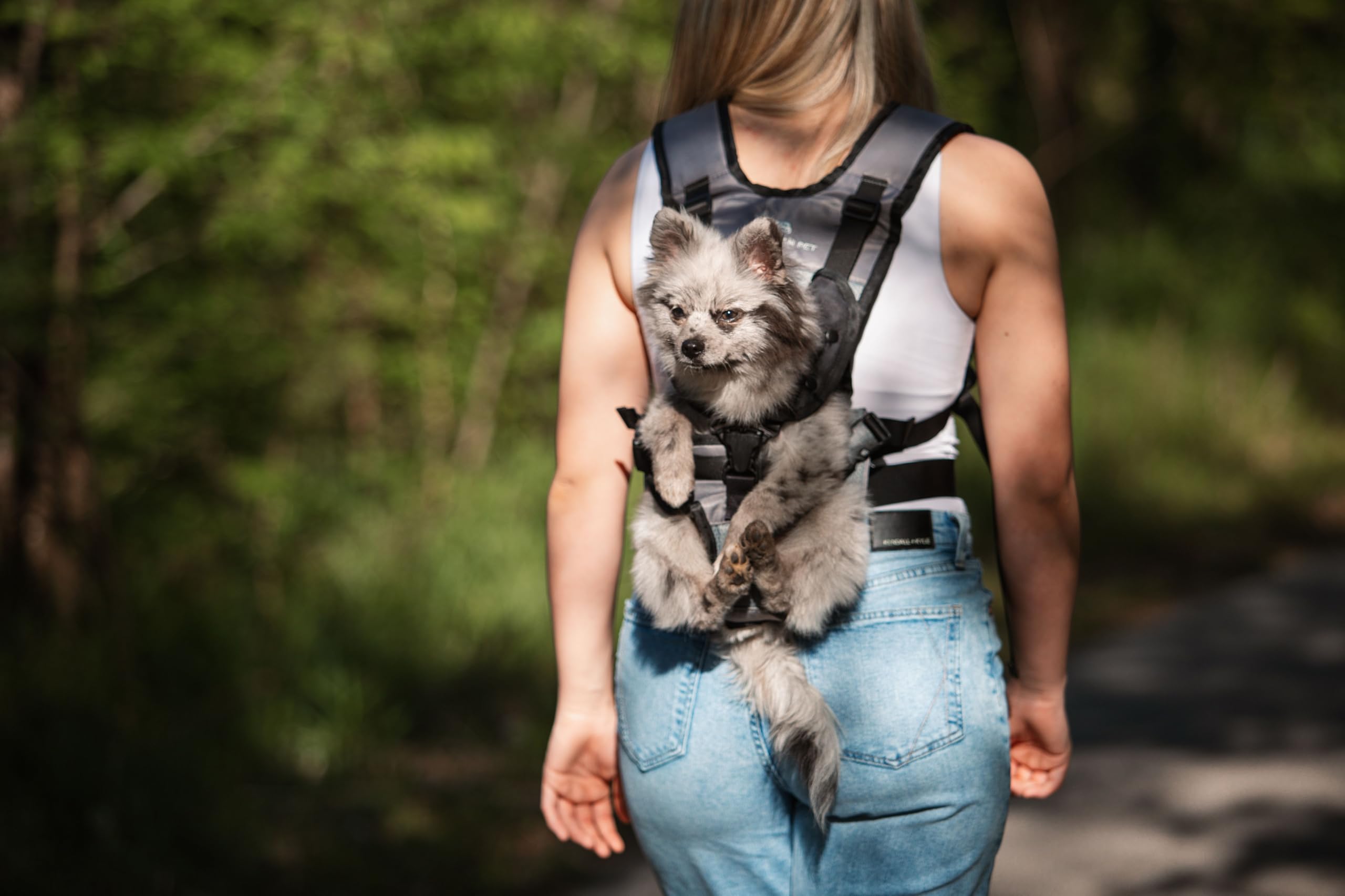 My Modern Pet shelter support mission image highlights 10 percent donation