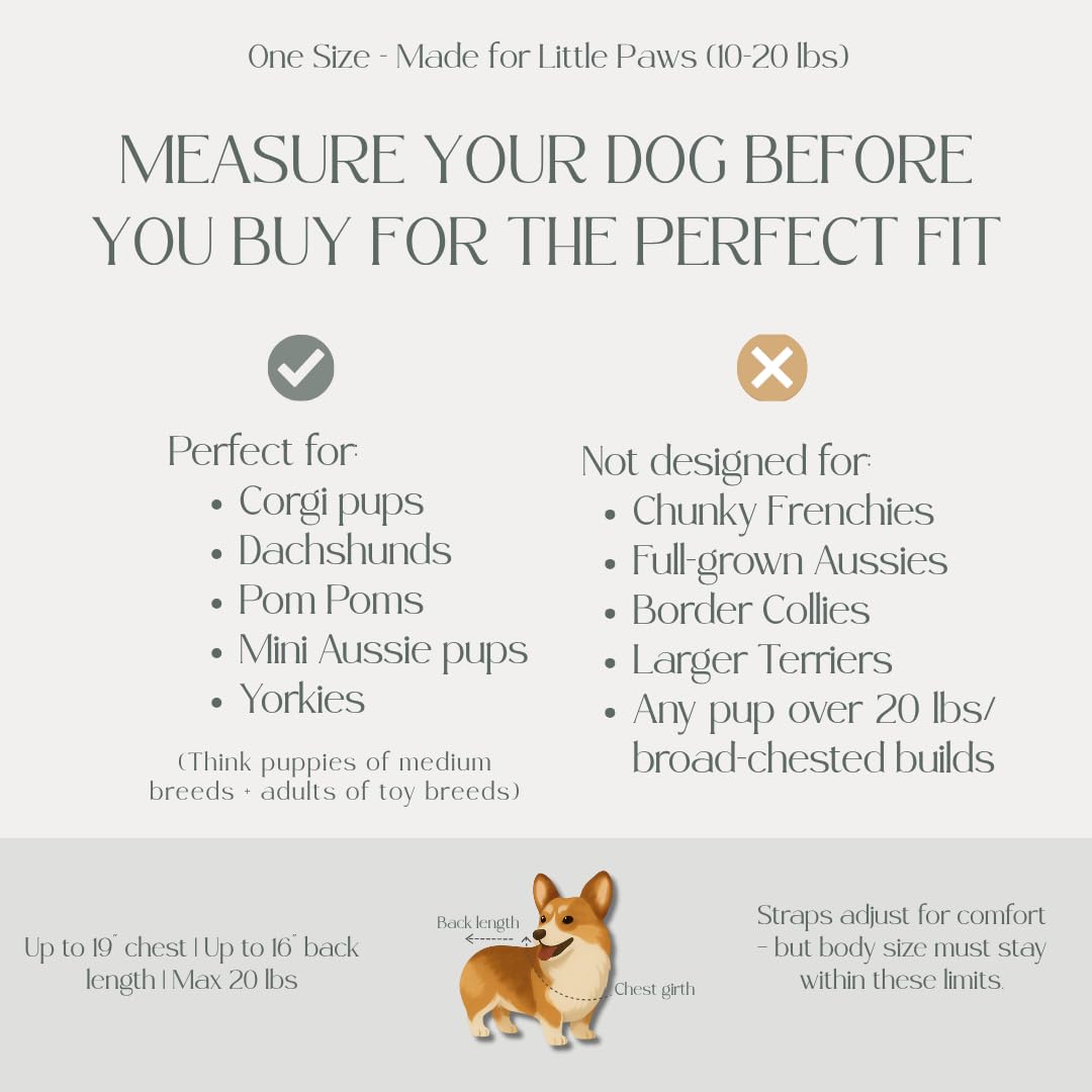 My Modern Pet dog carrier backpack side worn silhouette highlights comfortable straps