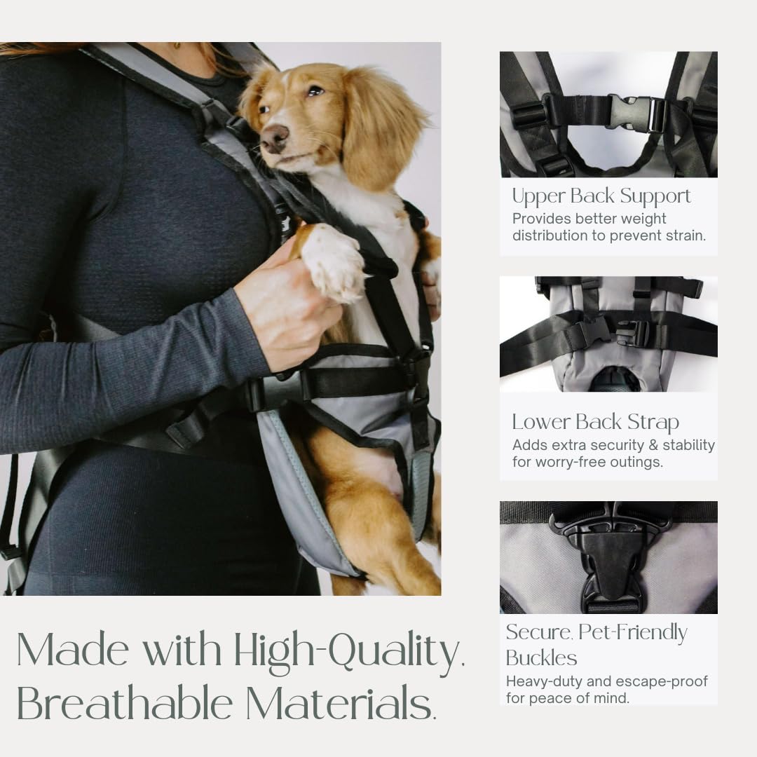 My Modern Pet waist belt reduces back strain during walks or hikes