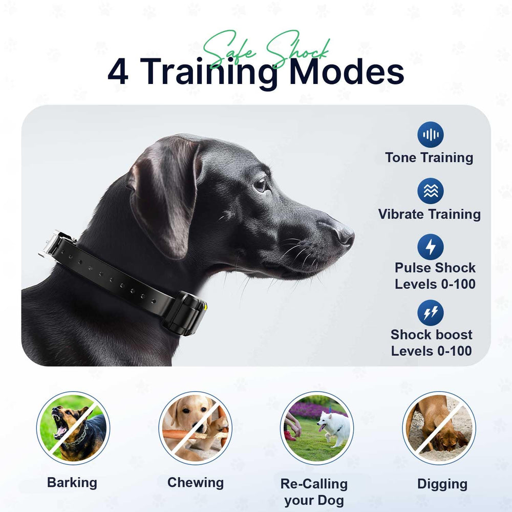 My Pet Command IPX7 waterproof collar lets dogs swim and train in any weather.