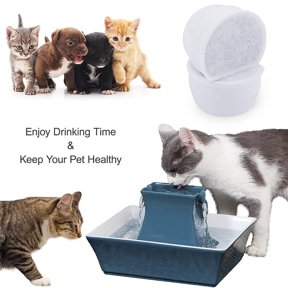 MyfatBOSS kitchen scene with fountain care for at-home pet hydration.