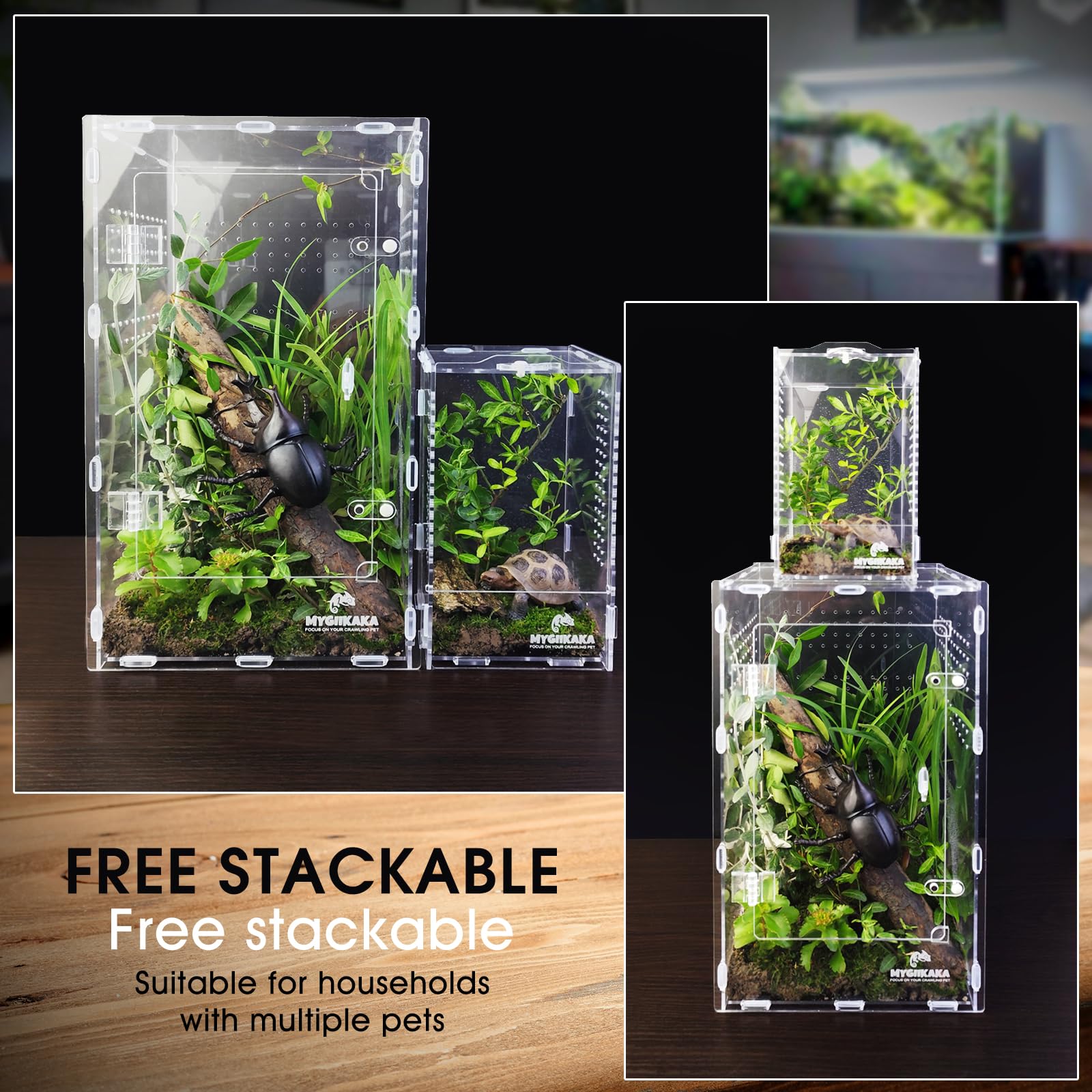 MYGIIKAKA acrylic invertebrate habitat compact demonstrates space-saving storage