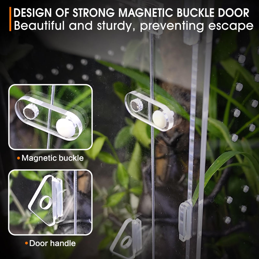 MYGIIKAKA acrylic spider enclosure assembly view shows simple setup