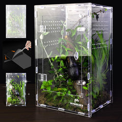 MYGIIKAKA acrylic spider enclosure front view for clear observation of behavior