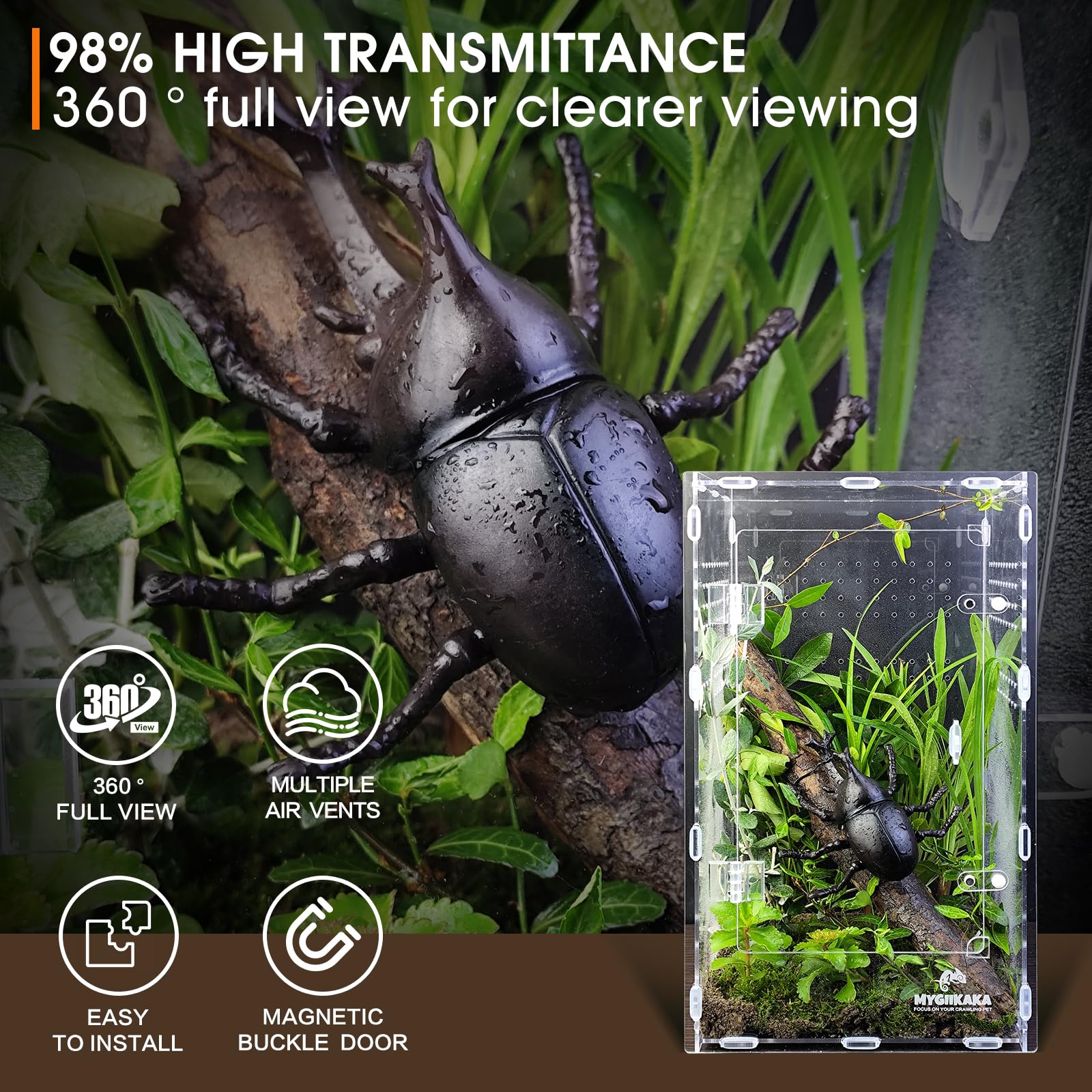 MYGIIKAKA acrylic spider enclosure open top demonstrates easy feeding access