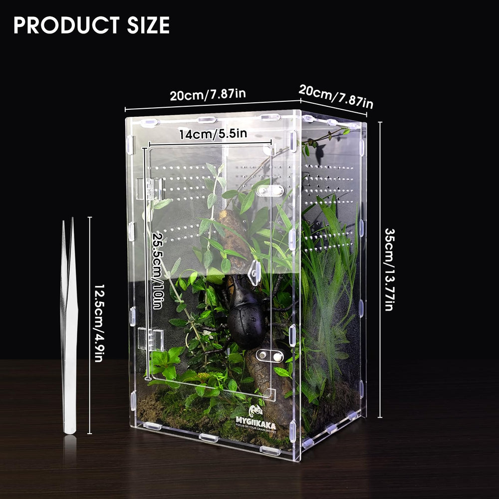 MYGIIKAKA acrylic spider enclosure top view highlights 360-degree visibility for monitoring