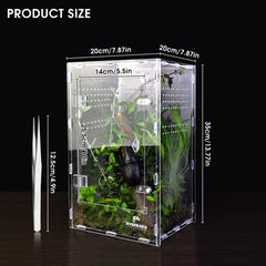 MYGIIKAKA acrylic spider enclosure top view highlights 360-degree visibility for monitoring