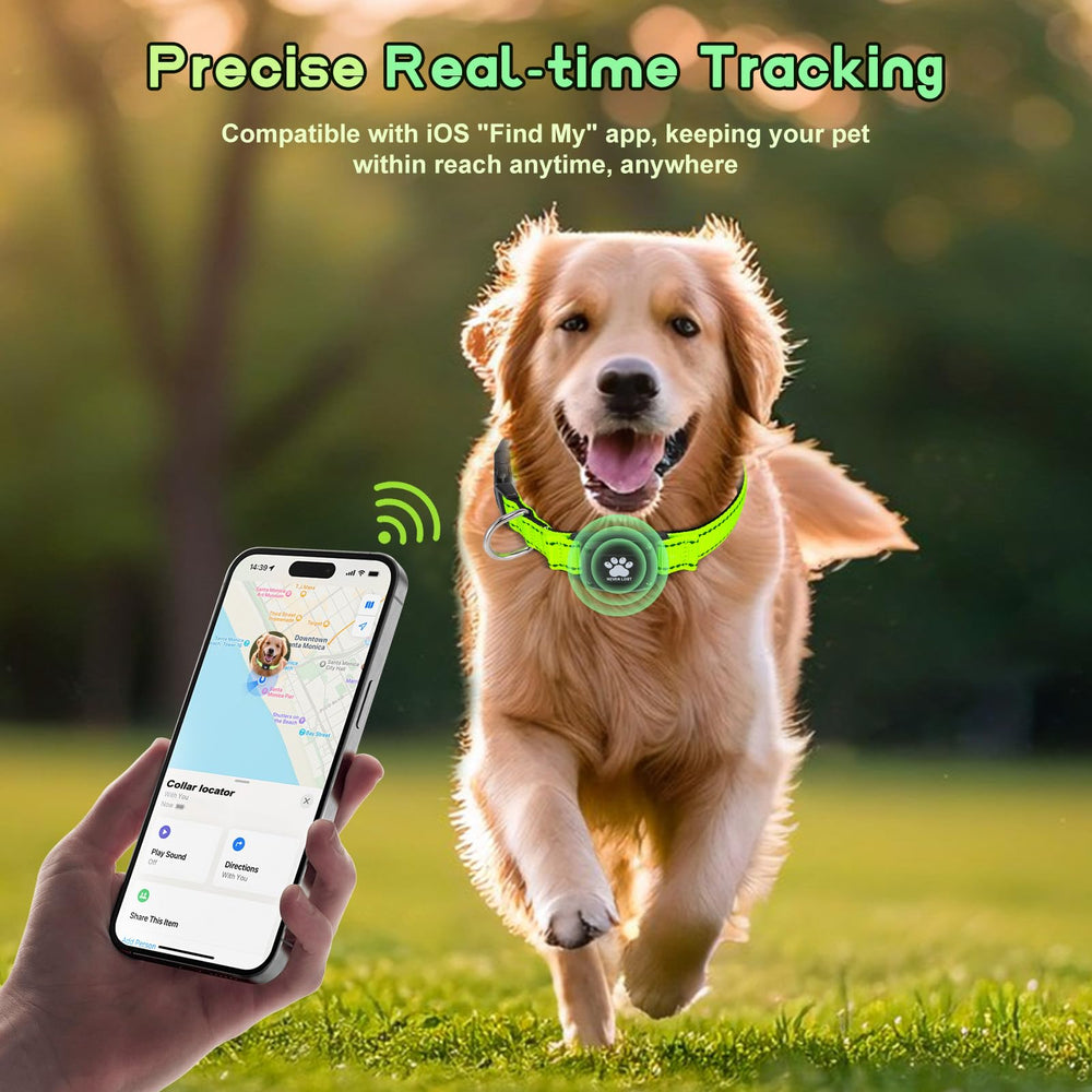 Myiwb GPS dog collar tracker battery life with a 12-month replaceable CR2032 and no subscription.