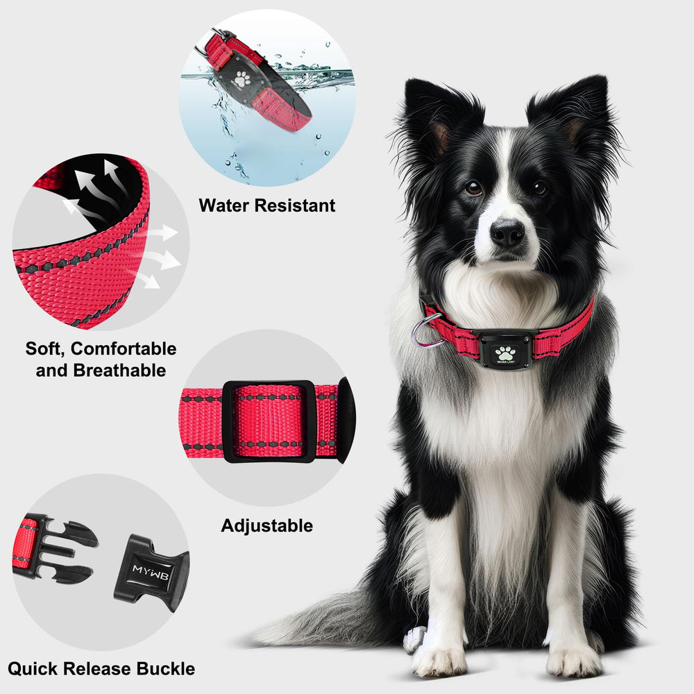 Myiwb GPS Dog Collar included tools for quick setup.