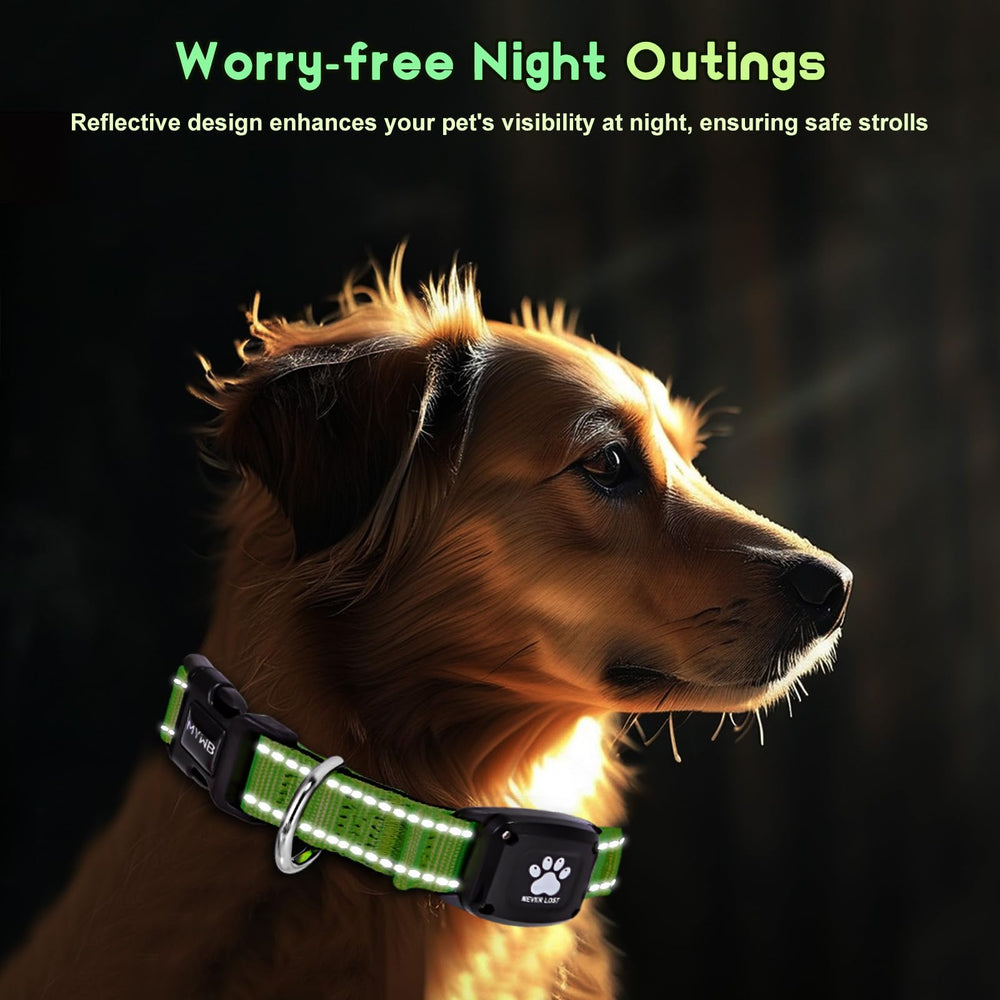 Myiwb GPS dog collar tracker reflective safety strips for night visibility.