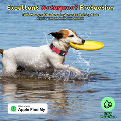 Myiwb GPS Dog Collar reflective strips visible for safer dusk walks.