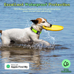 Myiwb GPS dog collar tracker MFi-certified with Apple Find My compatibility for real-time locating.