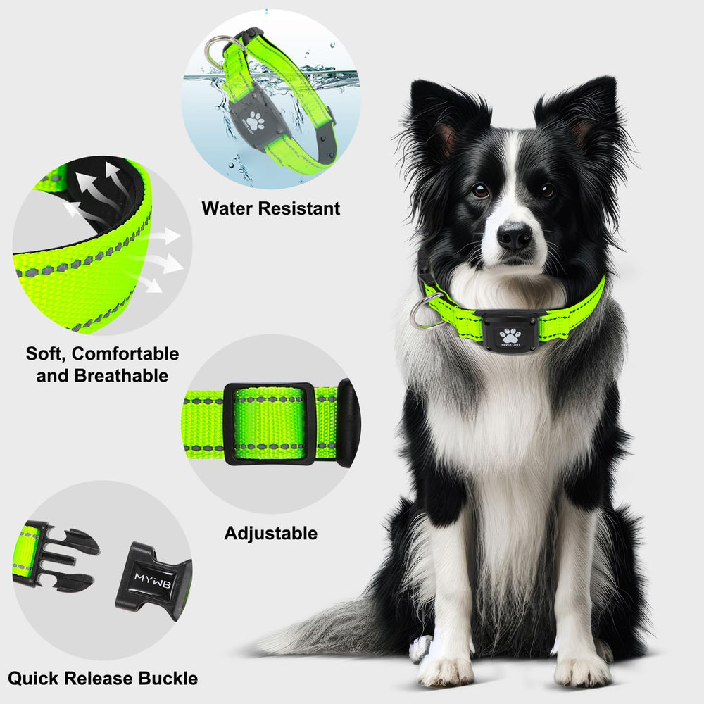 Myiwb GPS dog collar tracker used on walks and hikes with real-time alerts.
