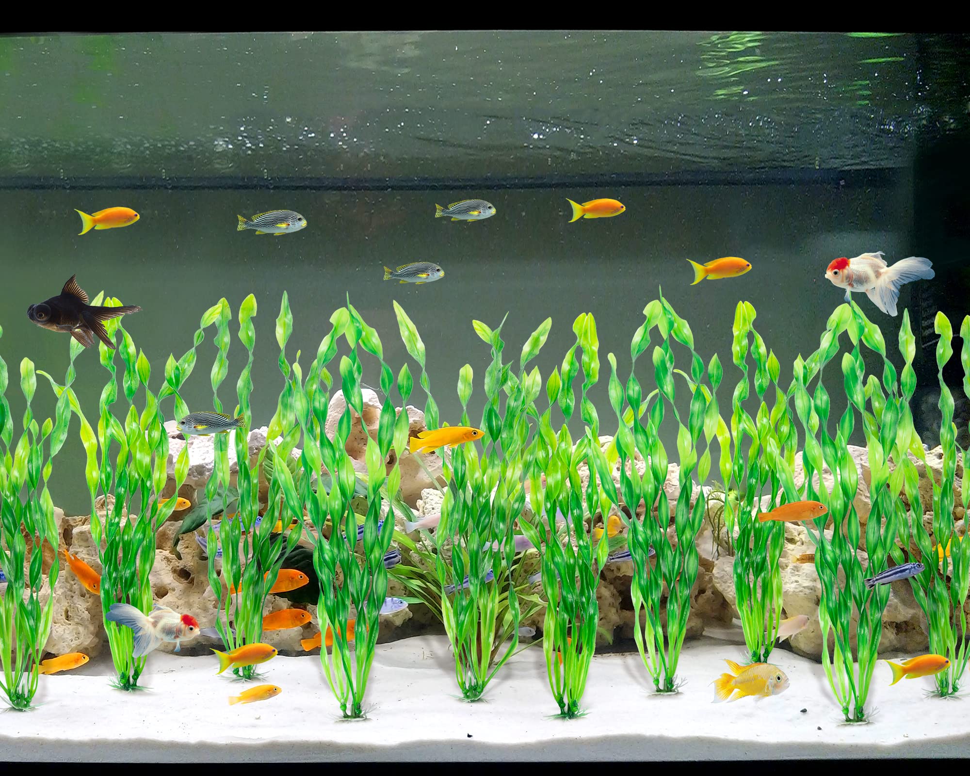 MyLifeUNIT planta decorativa adecuada para acuarios grandes.