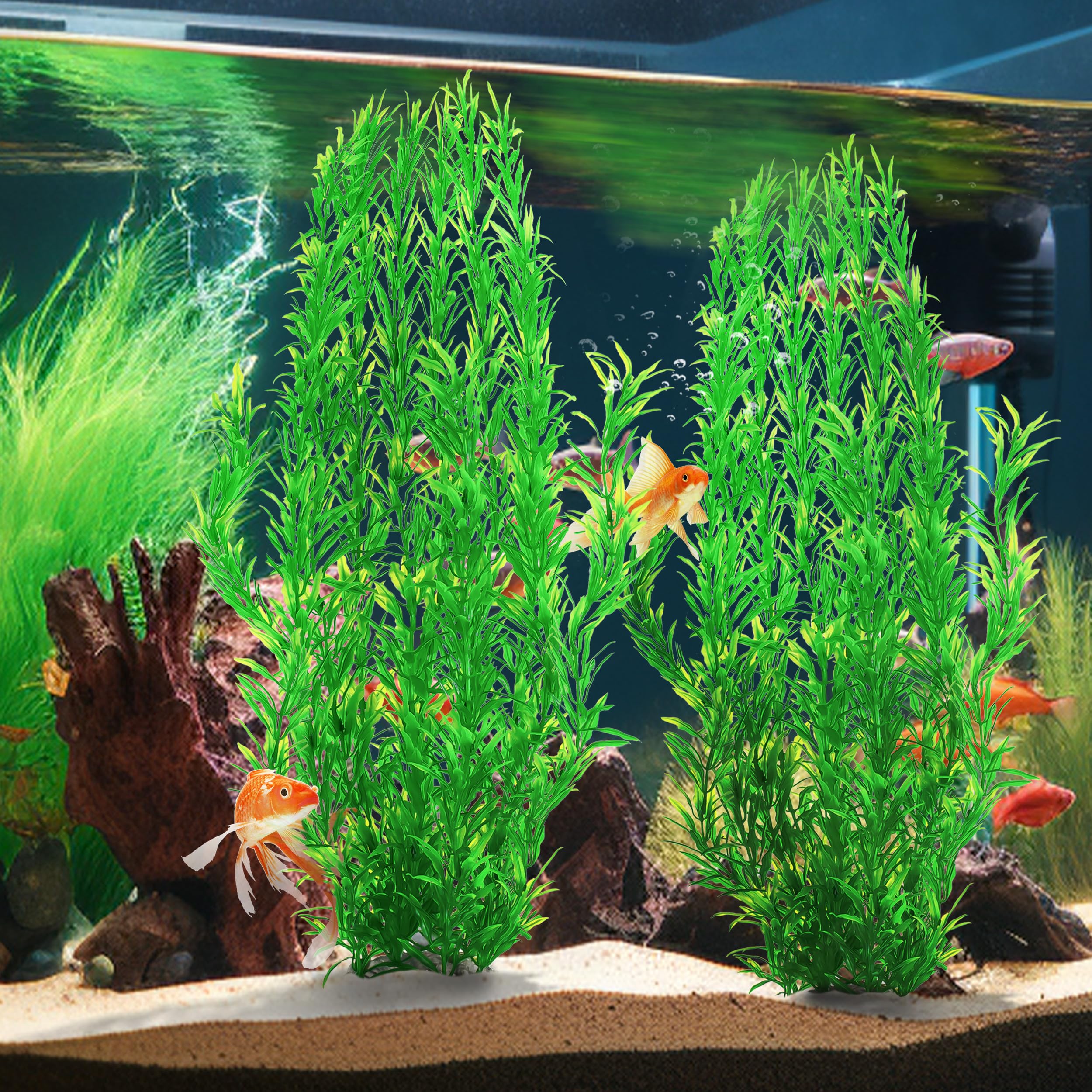 MyLifeUNIT green aquarium plants suit freshwater, saltwater, and tropical tanks.