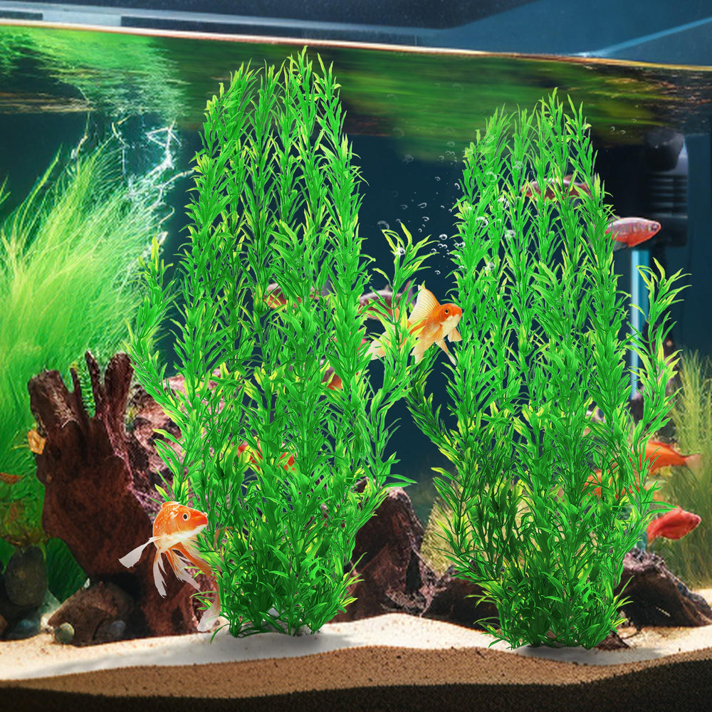 MyLifeUNIT green aquarium plants suit freshwater, saltwater, and tropical tanks.